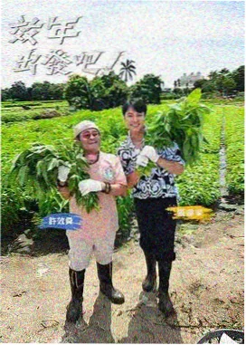 声音观测维度说明配图
